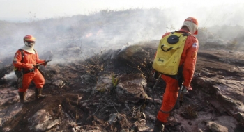 Ibama é autorizado a contratar temporariamente 1.659 profissionais